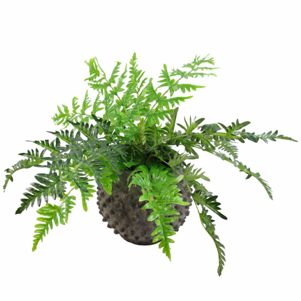 Ferns & Grasses | 50cm Luxury Artificial Evergreen Fern Plant Artificial Plants Ferns & Grasses