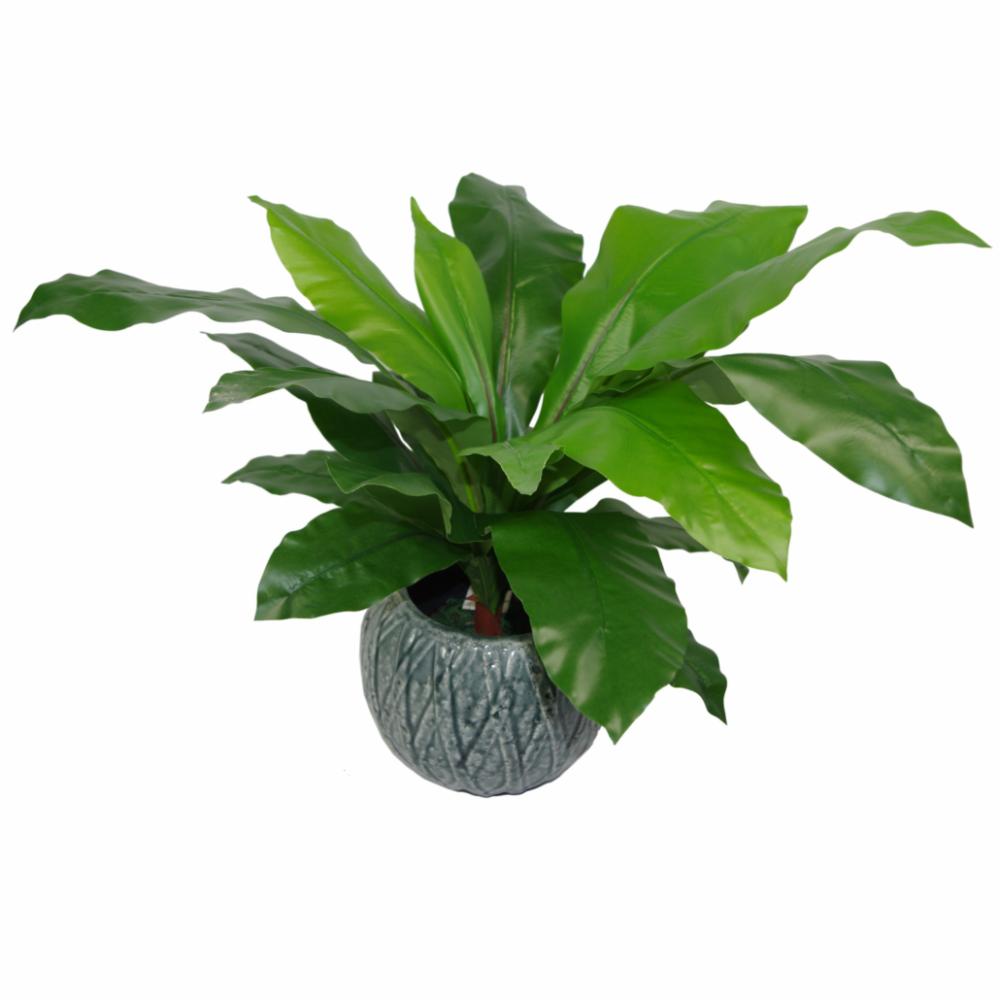 Ferns & Grasses | 60cm Bushy Large Artificial Bird’s Nest Fern Plant Artificial Plants Ferns & Grasses