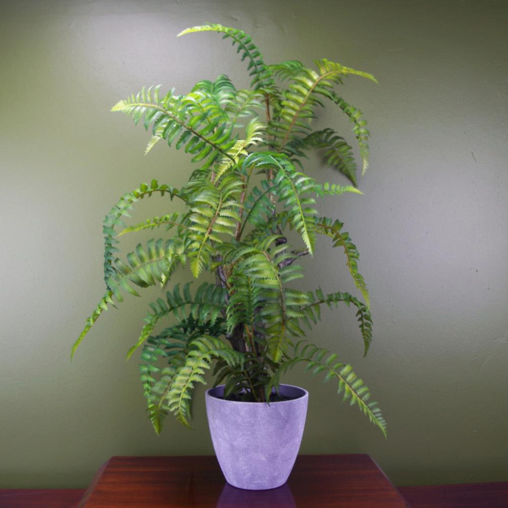 Ferns & Grasses | 70cm Artificial Tree Fern with Decorative Planter Artificial Plants Ferns & Grasses