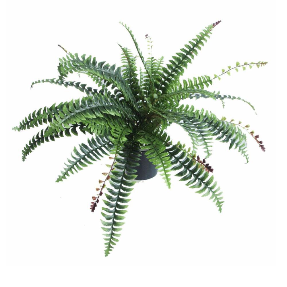 Ferns & Grasses | Artificial Boston Fern Plant 60cm Boston Fern Artificial Plants Ferns & Grasses