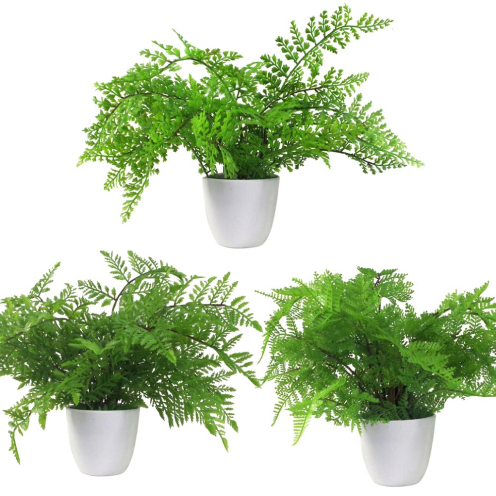 Ferns & Grasses | Pack of 3 x 30cm Artificial Ferns Southern Wood Lady and Royal Potted Artificial Plants Ferns & Grasses