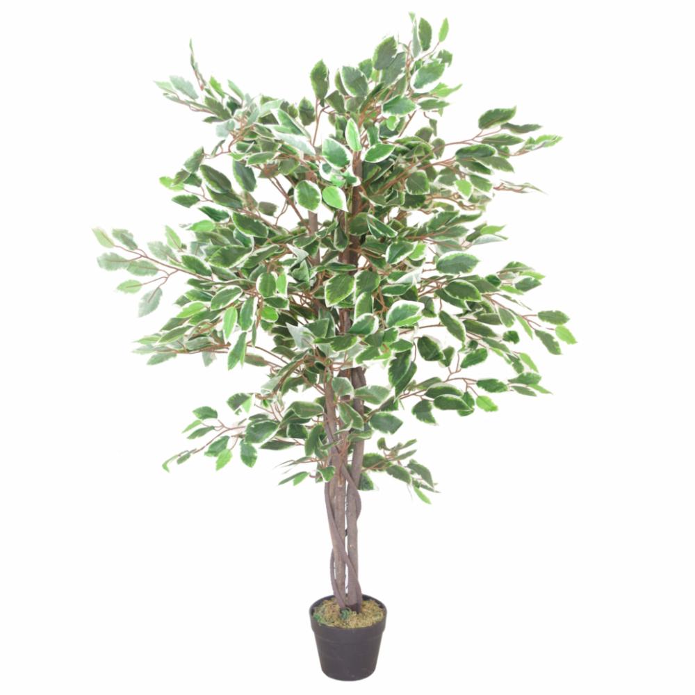 Ficus Trees | 130cm LARGE Realistic White Edge Ficus Artificial Plant Tree Artificial Trees Ficus Trees