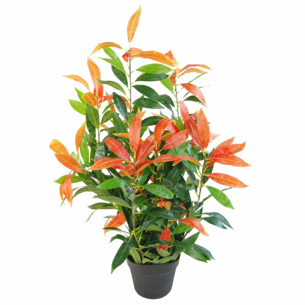 Ficus Trees | 80cm Artificial Red and Green Ficus Plant Artificial Trees Ficus Trees