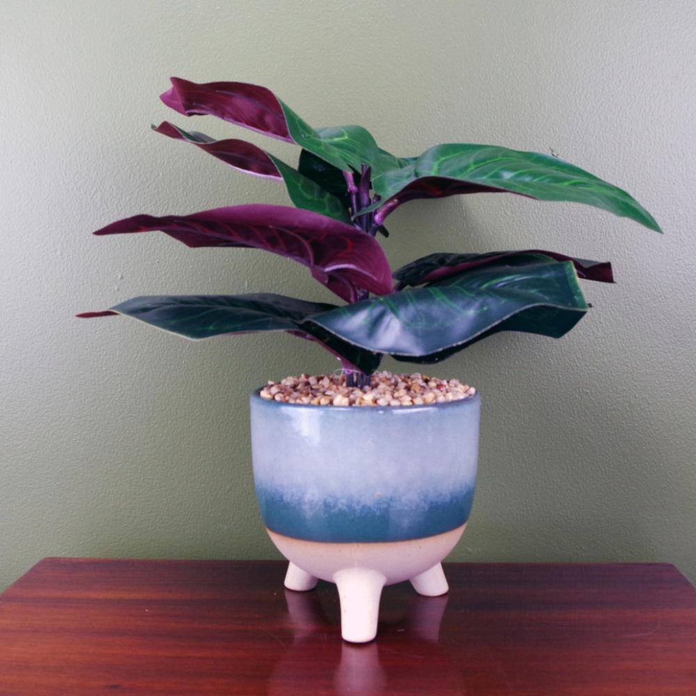 Foliage Plants | 35cm Artificial Ficus Plant Potted in Teal Blue Green Ceramic Planter Artificial Plants Foliage Plants