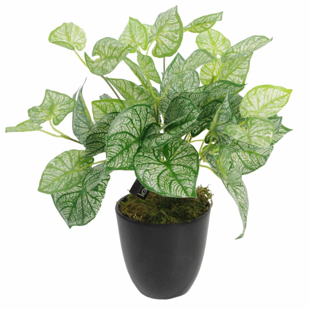 Foliage Plants | 40cm Artificial Caladium Plant with pot Artificial Plants Foliage Plants