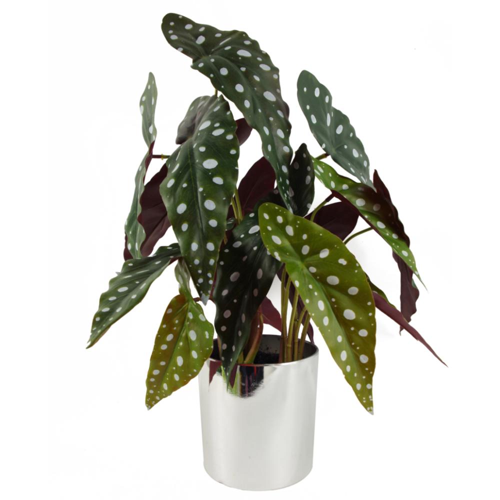 Foliage Plants | 40cm Artificial Spotty Begonia Maculata Plant Artificial Plants Foliage Plants