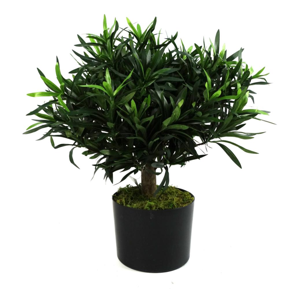 Foliage Plants | 40cm Podocarpus Bush Artificial Plant Artificial Plants Foliage Plants