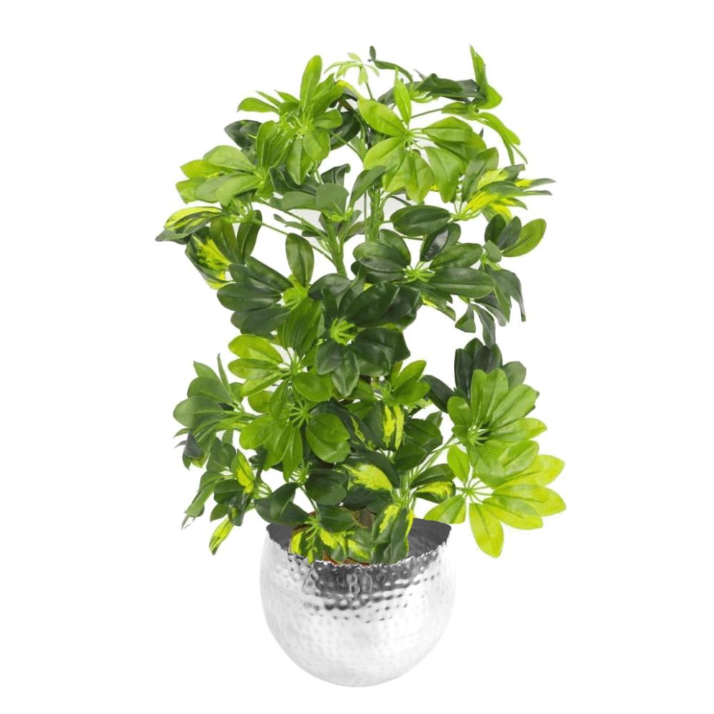 Foliage Plants | 75cm Artificial Arboricola Gold Capella Plant Silver Metal Planter Artificial Plants Foliage Plants