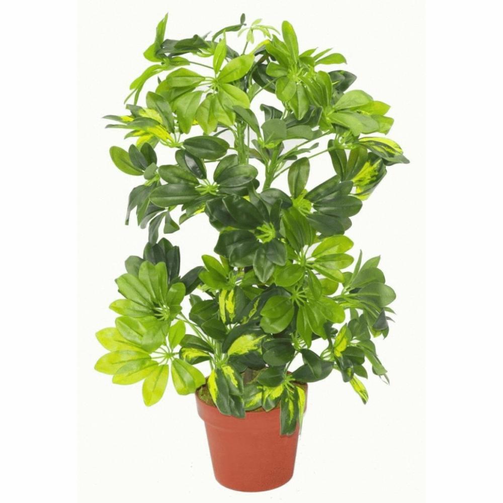 Foliage Plants | 75cm Artificial Arboricola Gold Capella Plant Artificial Plants Foliage Plants