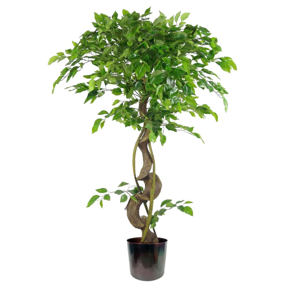 Japanese Trees | 120cm Twisted Trunk Artificial Japanese Fruticosa Style Ficus Tree Metal Planter Artificial Trees Japanese Trees