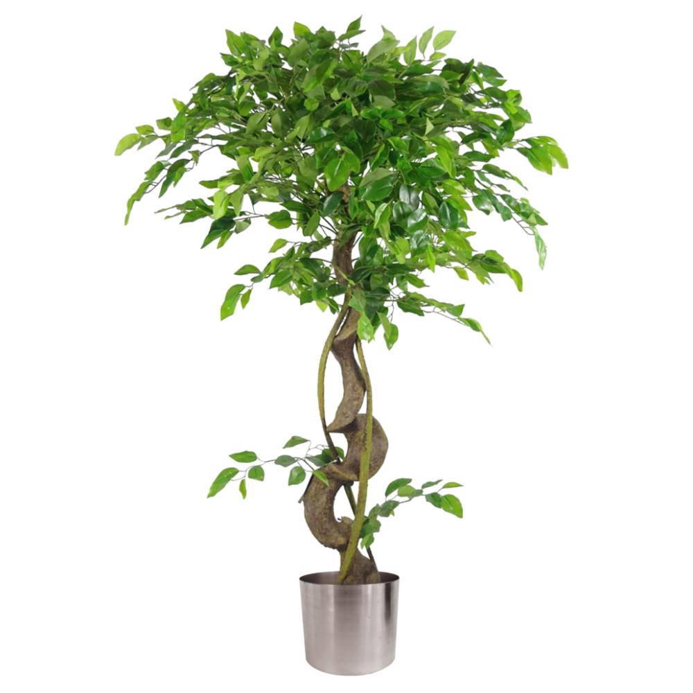 Japanese Trees | 120cm Twisted Trunk Artificial Japanese Fruticosa Style Ficus Tree Silver Planter Artificial Trees Japanese Trees