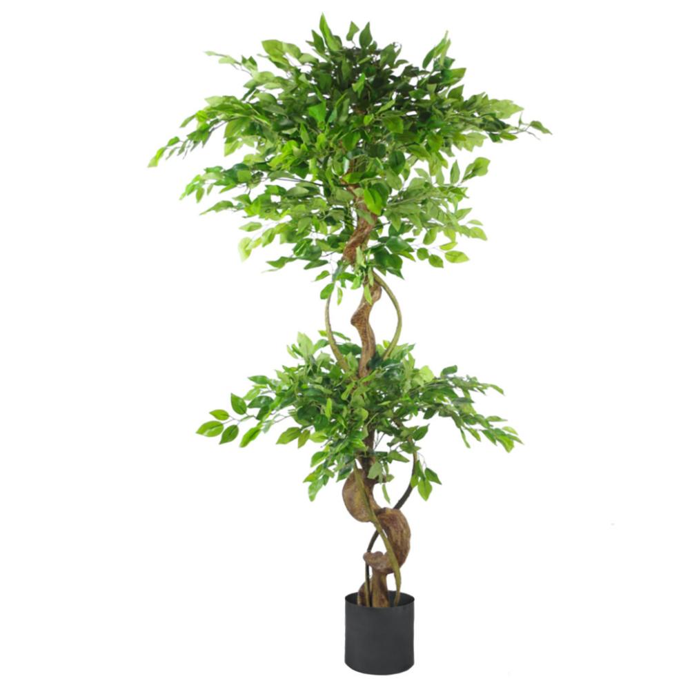 Japanese Trees | 150cm Twisted Trunk Artificial Japanese Fruticosa Ficus Tree Black Planter Artificial Trees Japanese Trees