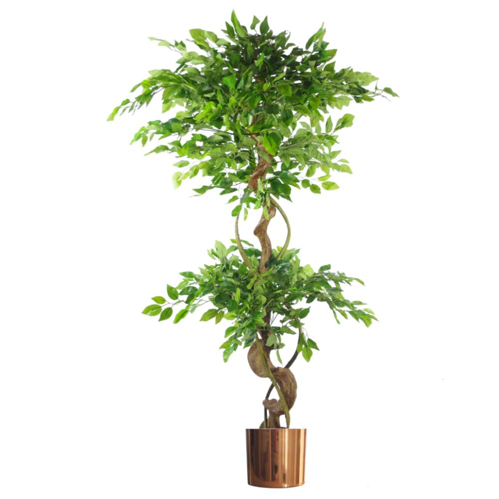 Japanese Trees | 150cm Twisted Trunk Artificial Japanese Fruticosa Ficus Tree Copper Planter Artificial Trees Japanese Trees