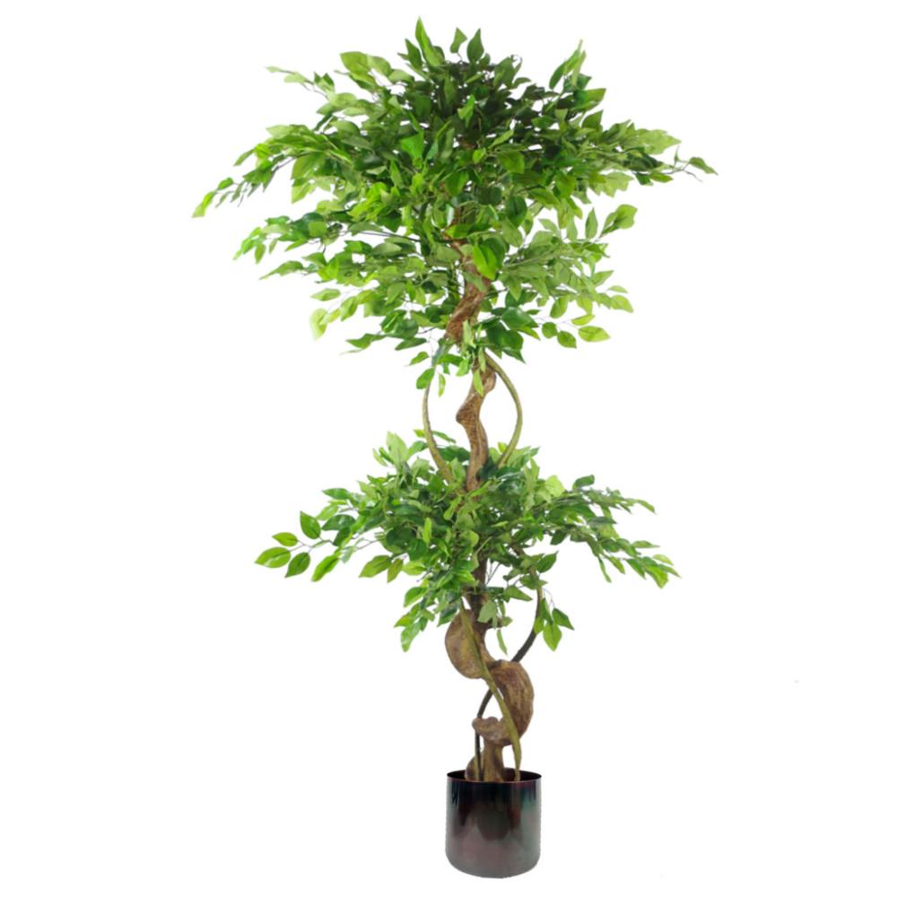 Japanese Trees | 150cm Twisted Trunk Artificial Japanese Fruticosa Ficus Tree Rainbow Planter Artificial Trees Japanese Trees