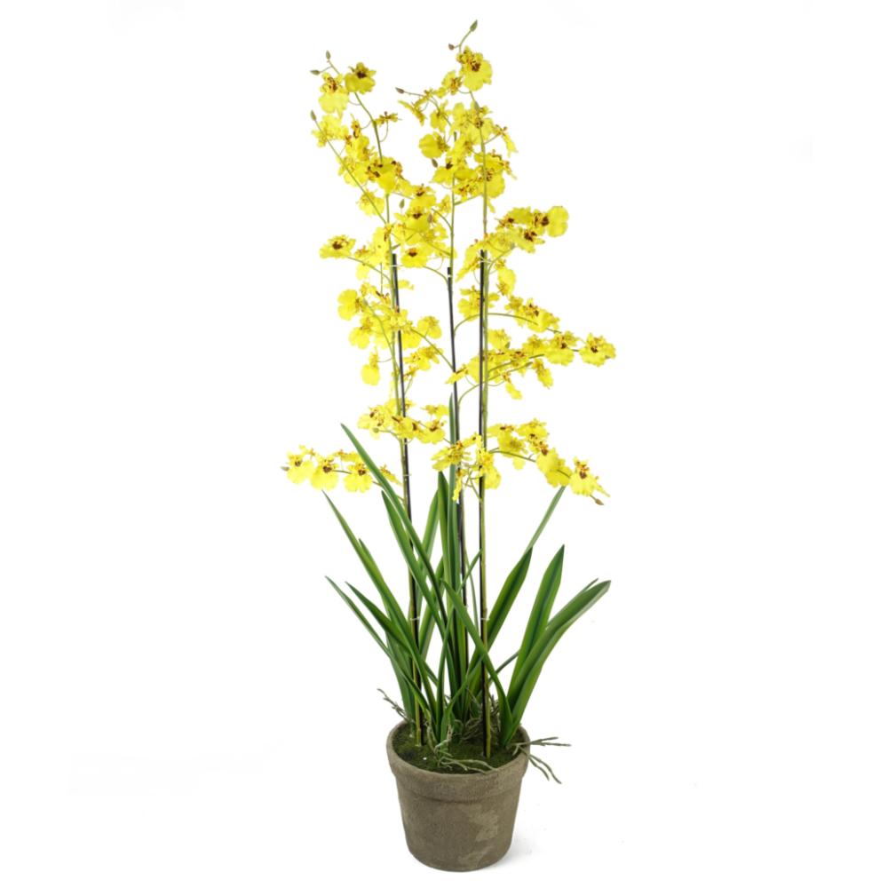 Orchids | 105cm Oncidium Artificial Orchid Yellow in Stoneware Planter Flowering Orchids