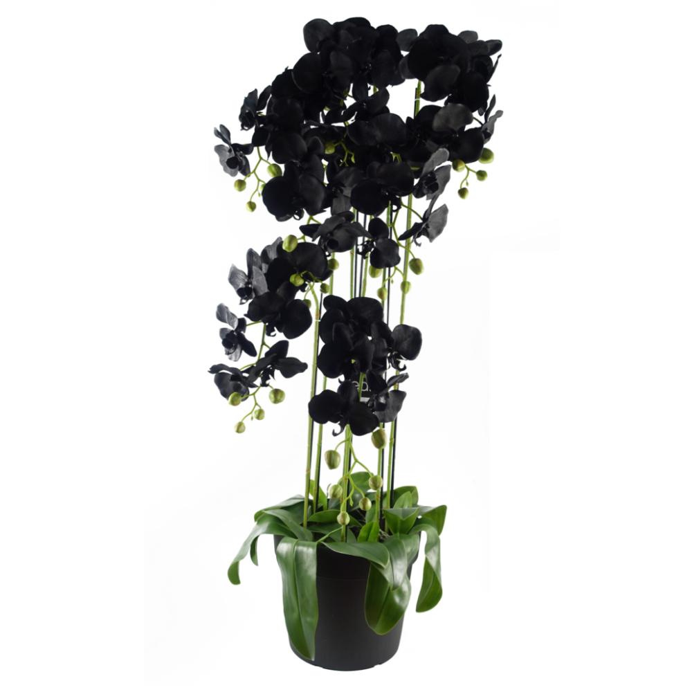 Orchids | 110cm Large Black Orchid Plant Artifcial 41 REAL TOUCH flowers Flowering Orchids