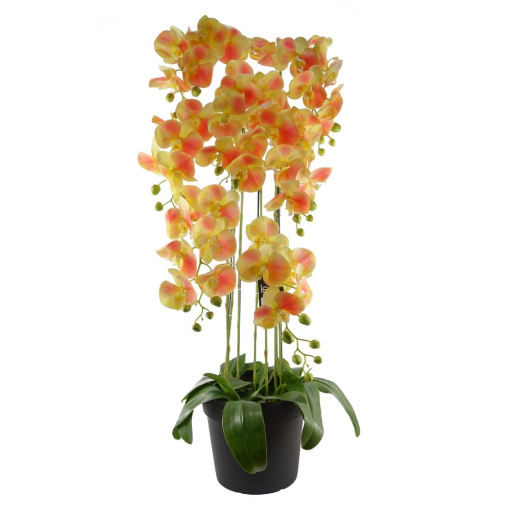 Orchids | 110cm Large Yellow Peach Orchid Plant Artifcial 41 REAL TOUCH flowers Flowering Orchids