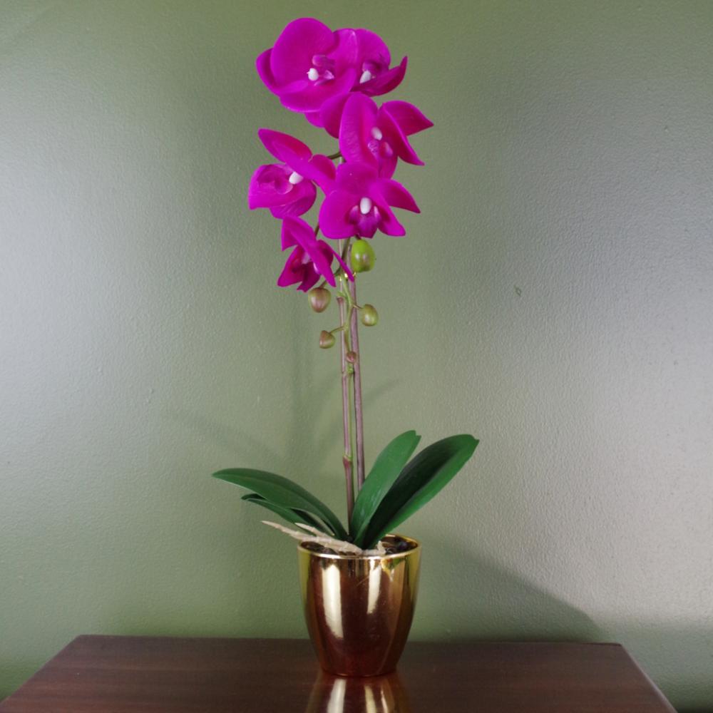 Orchids | 46cm Artificial Orchid Dark Pink and Gold Flowering Orchids