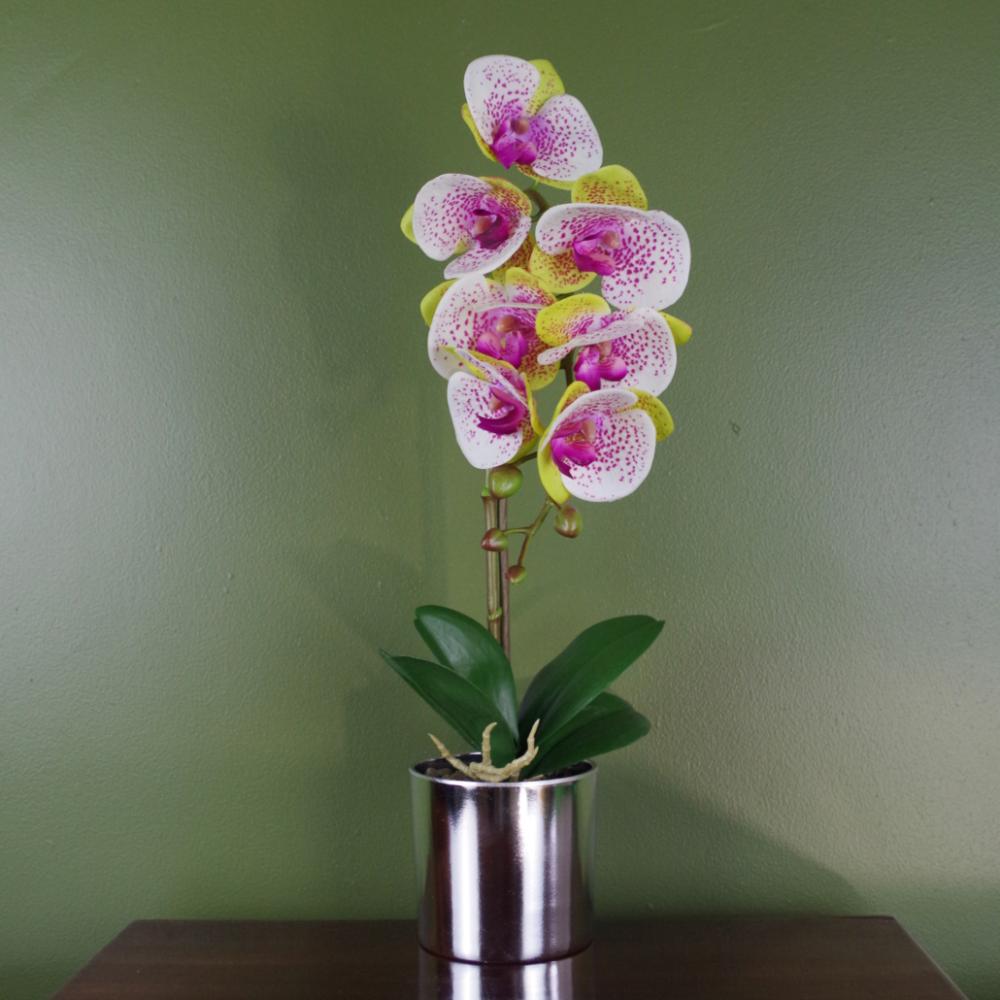 Orchids | 46cm Artificial Orchid Harlequin Pink with Silver Pot Flowering Orchids