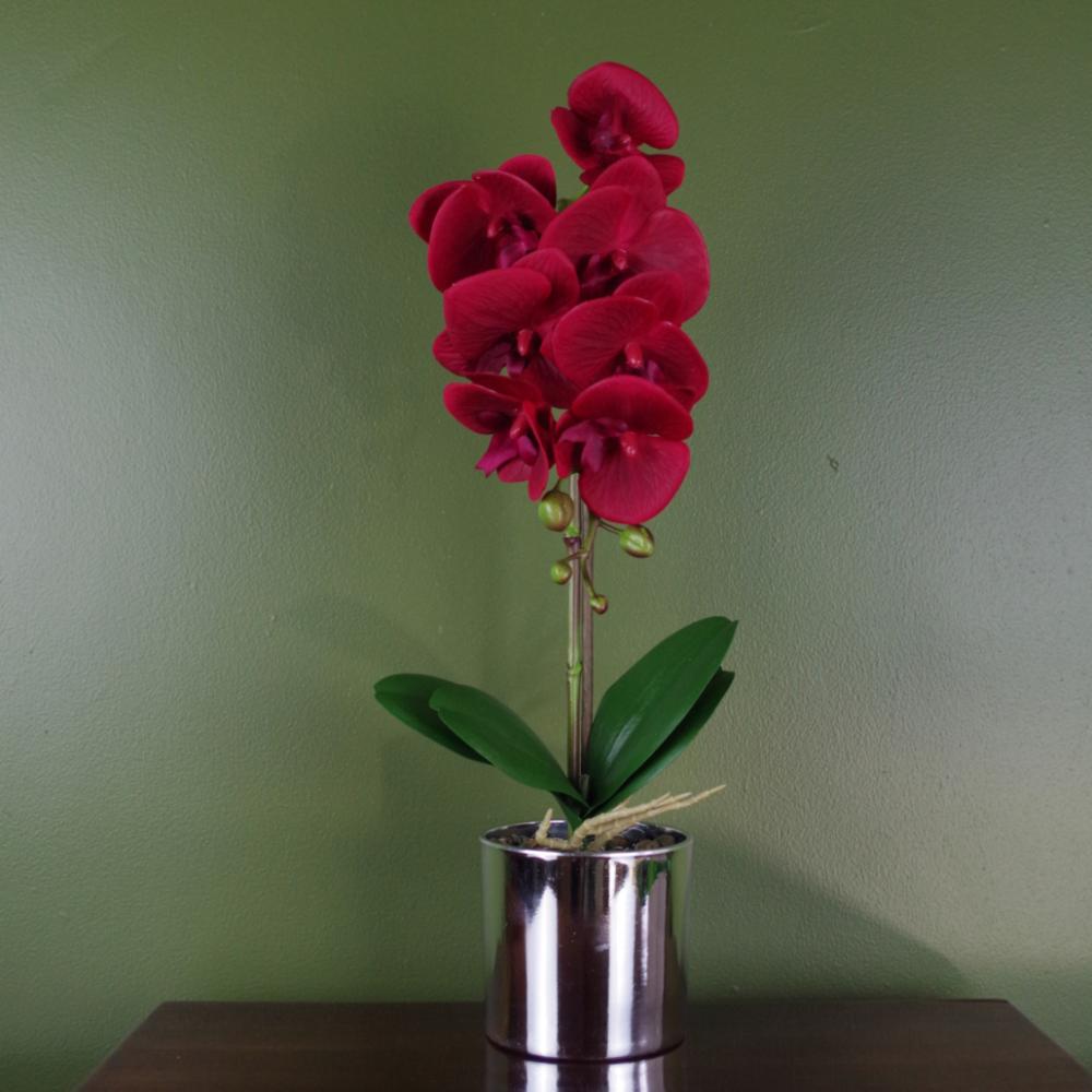 Orchids | 46cm Artificial Orchid Red with Silver Pot Flowering Orchids