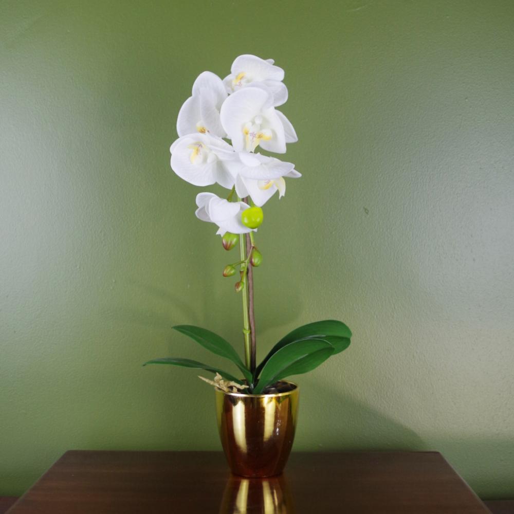 Orchids | 46cm Artificial Orchid White and Gold Flowering Orchids