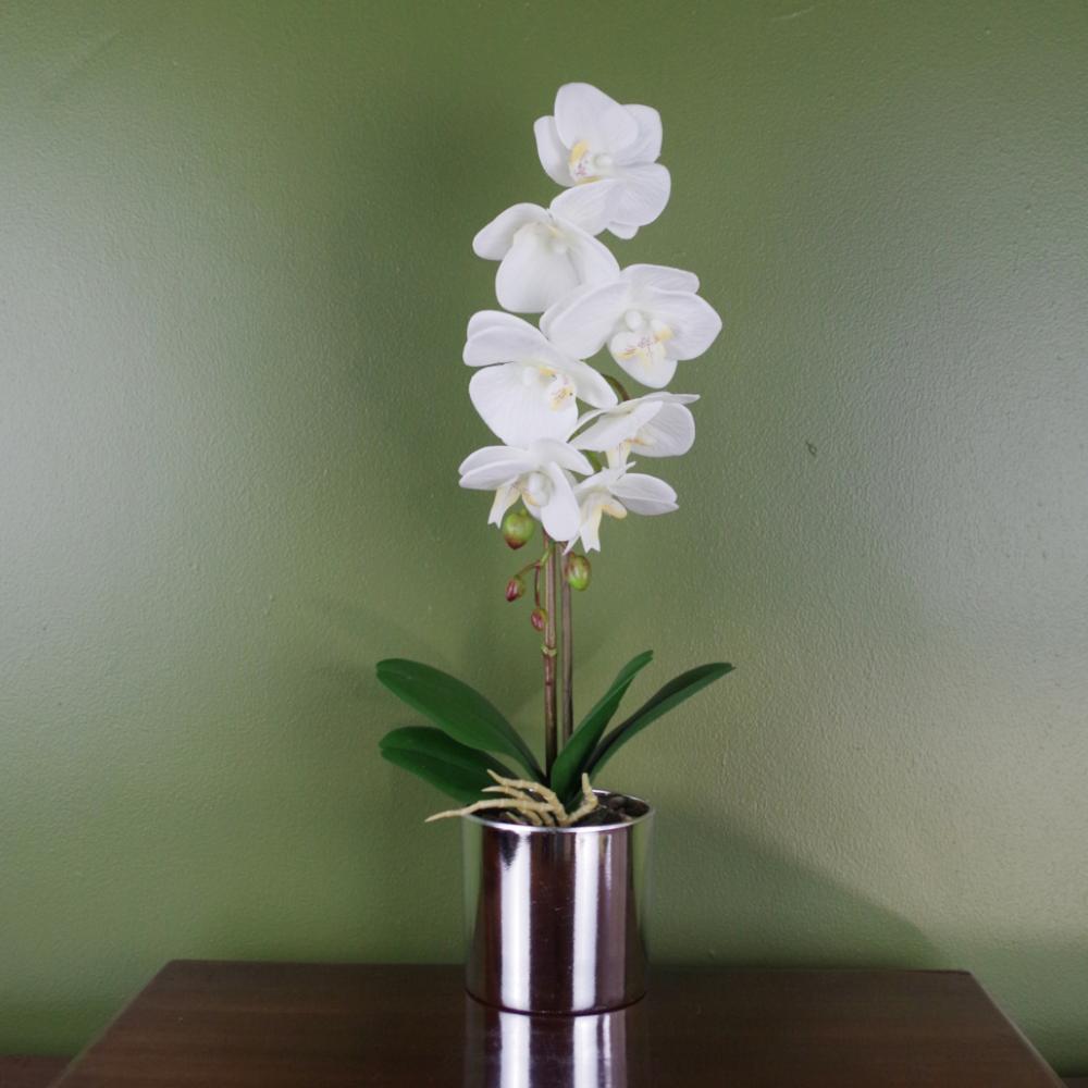 Orchids | 46cm Artificial Orchid White with Silver Pot Flowering Orchids