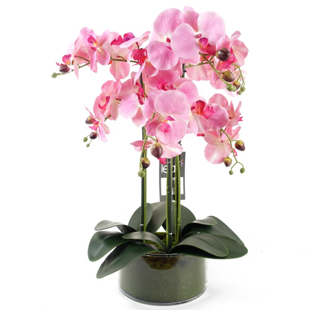 Orchids | 50cm Artificial Orchid with Glass Planter Pink Orchids