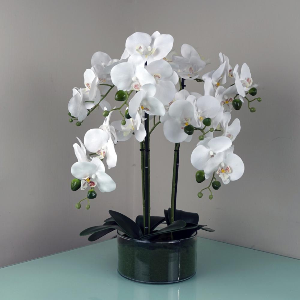 Orchids | 50cm Artificial Orchid with Glass Planter White Flowering Orchids