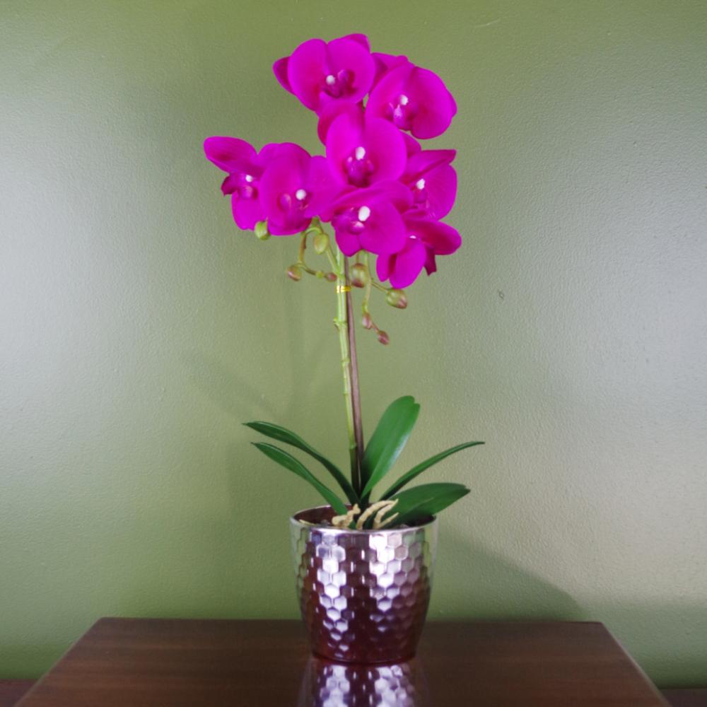 Orchids | 50cm Phalaenopsis Orchid Artificial Dark Pink Silver Flowering Orchids