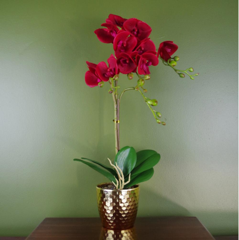 Orchids | 50cm Phalaenopsis Orchid Artificial Dark Red Gold Pot Flowering Orchids