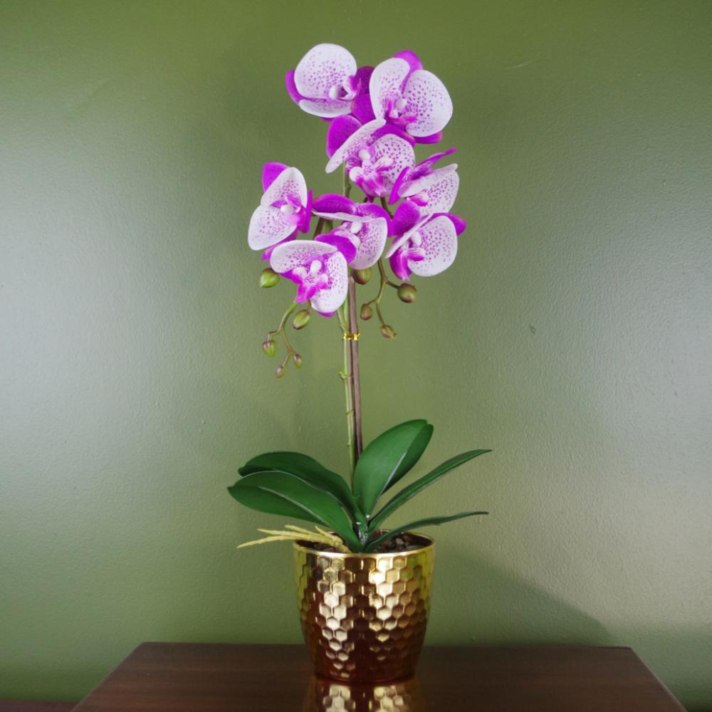 Orchids | 50cm Phalaenopsis Orchid Artificial Purple and White Gold Pot Flowering Orchids