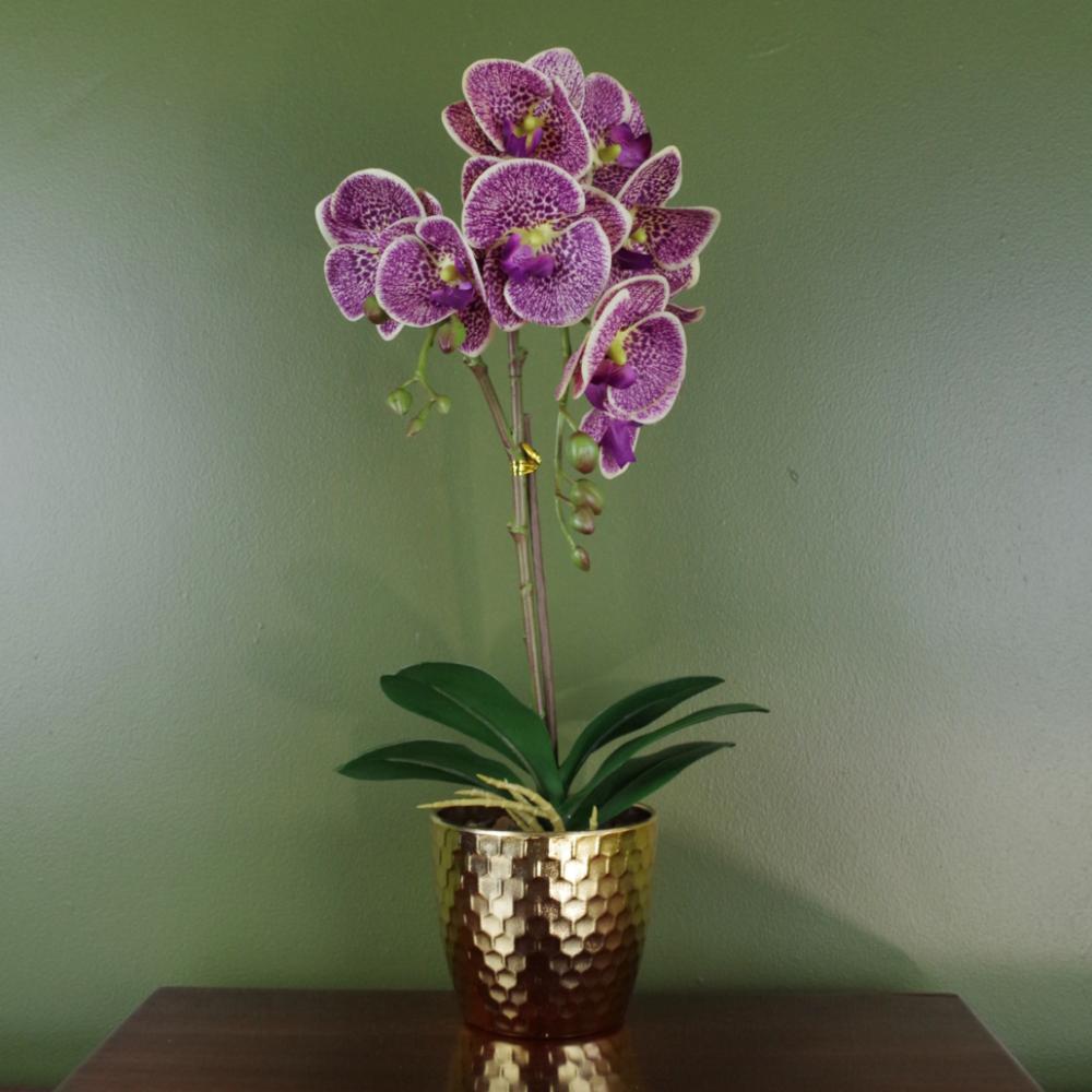 Orchids | 50cm Phalaenopsis Orchid Artificial Purple Leopard Gold Pot Flowering Orchids