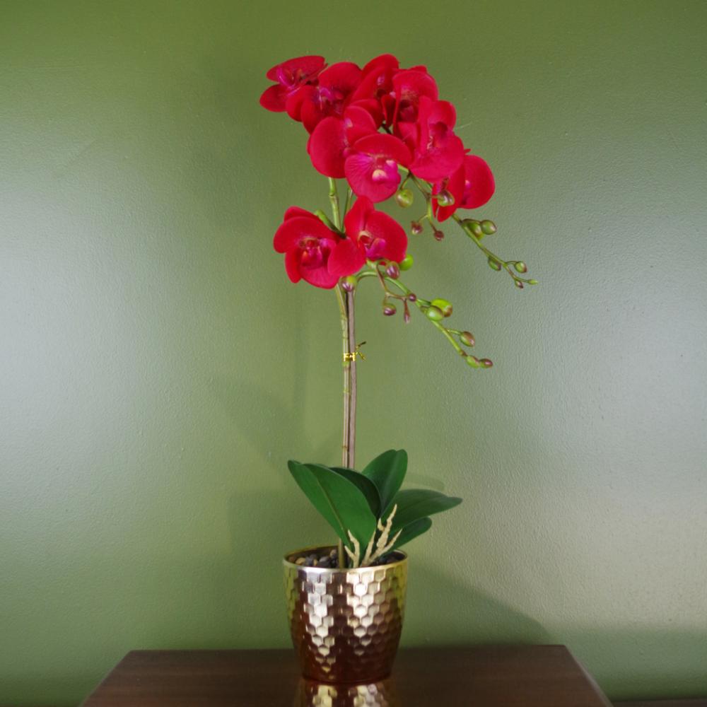 Orchids | 50cm Phalaenopsis Orchid Artificial Red Leopard Gold Pot Flowering Orchids