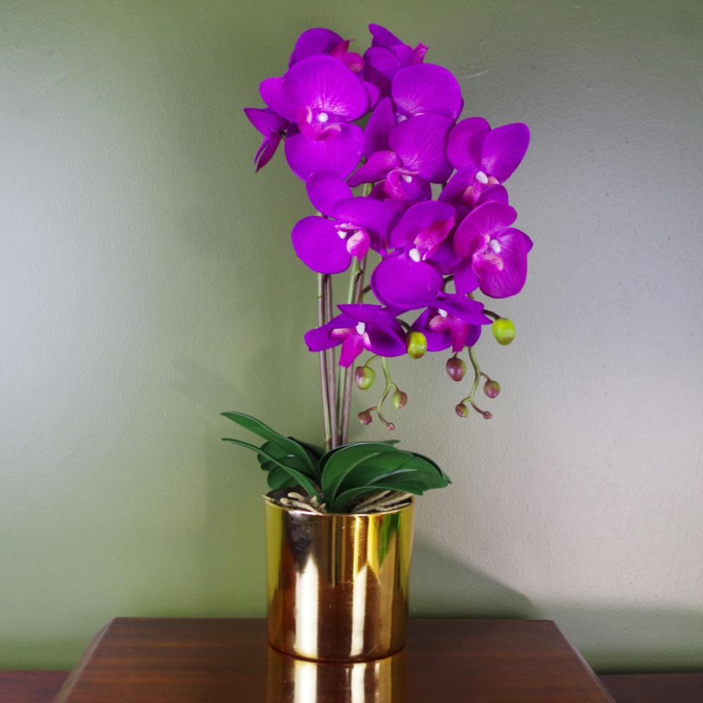 Orchids | 52cm Artificial Orchid Large Purple and Gold Flowering Orchids