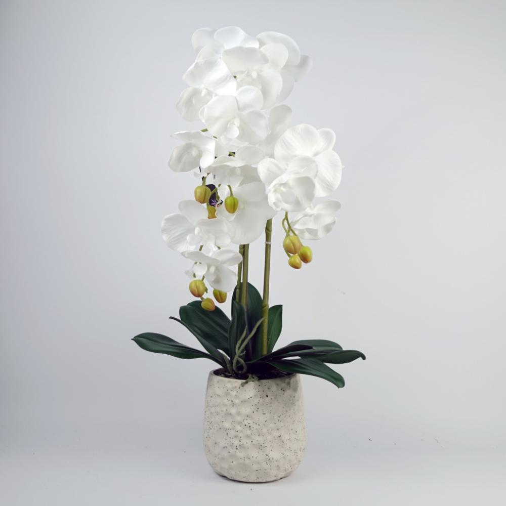 Orchids | 60cm Pure White Artificial Orchid with Ceramic Bubble Planter Flowering Orchids