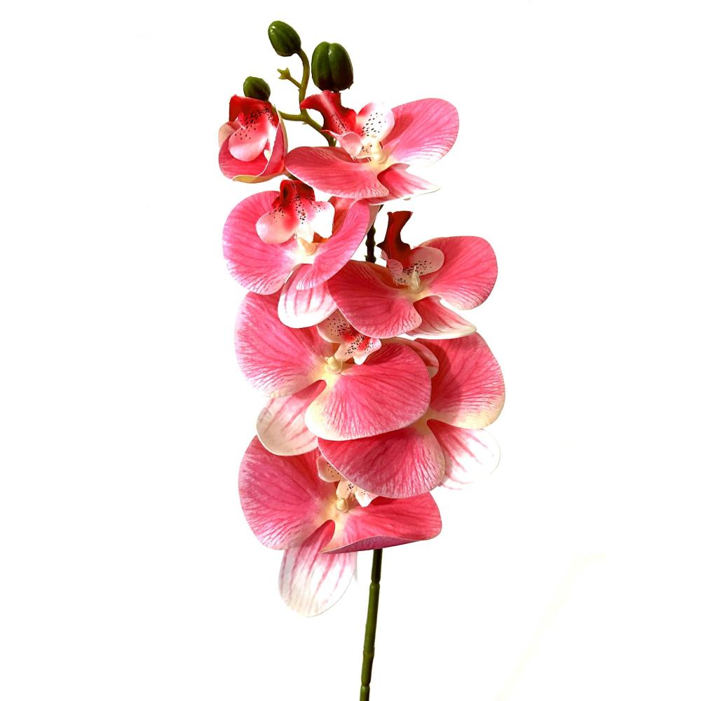 Orchids | 75cm Artificial Pink Phalaenopsis Orchid Flower Stem Flowering Plants & Trees Orchids