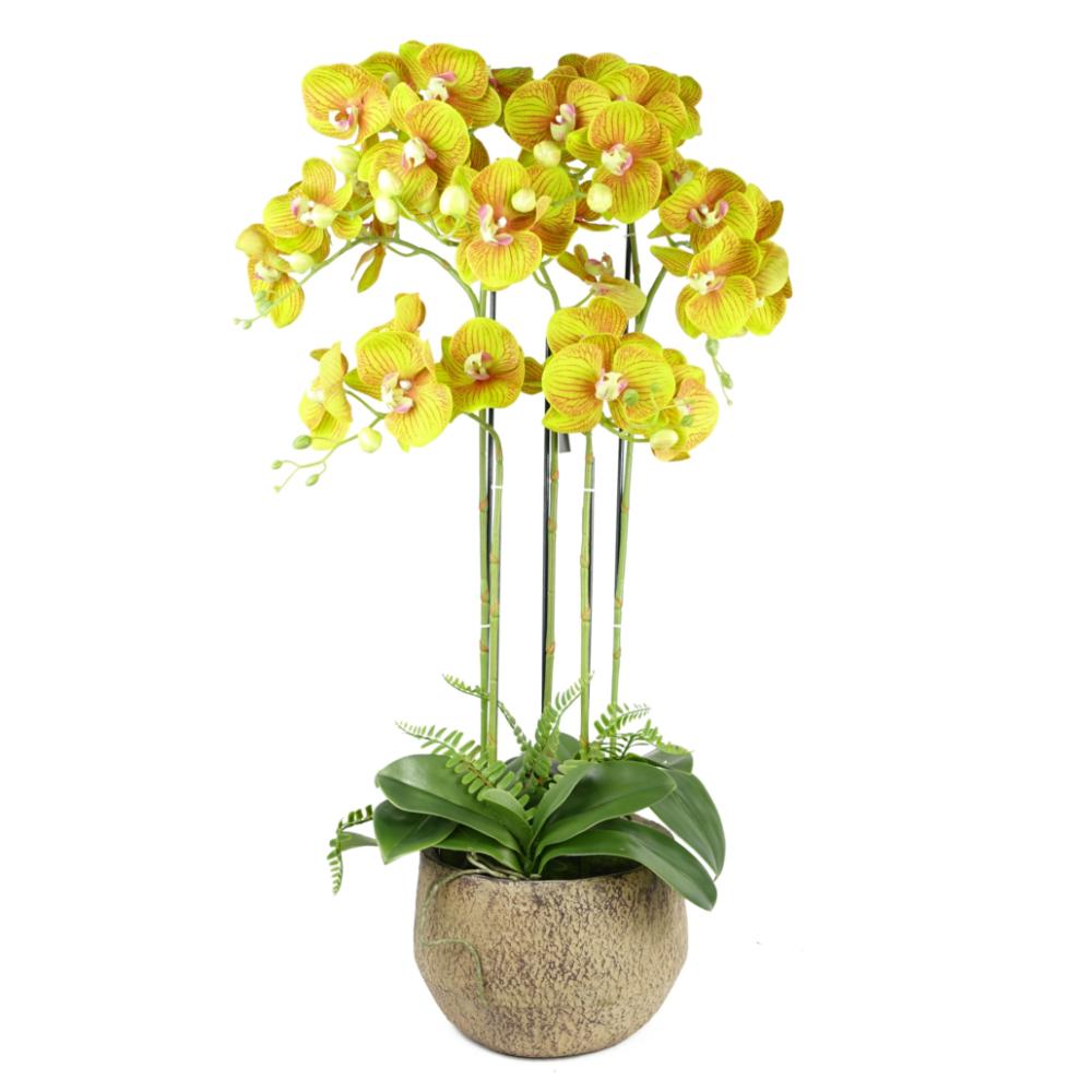 Orchids | 80cm Large Orchid Lime Yellow Artificial 41 REAL TOUCH flowers Flowering Orchids