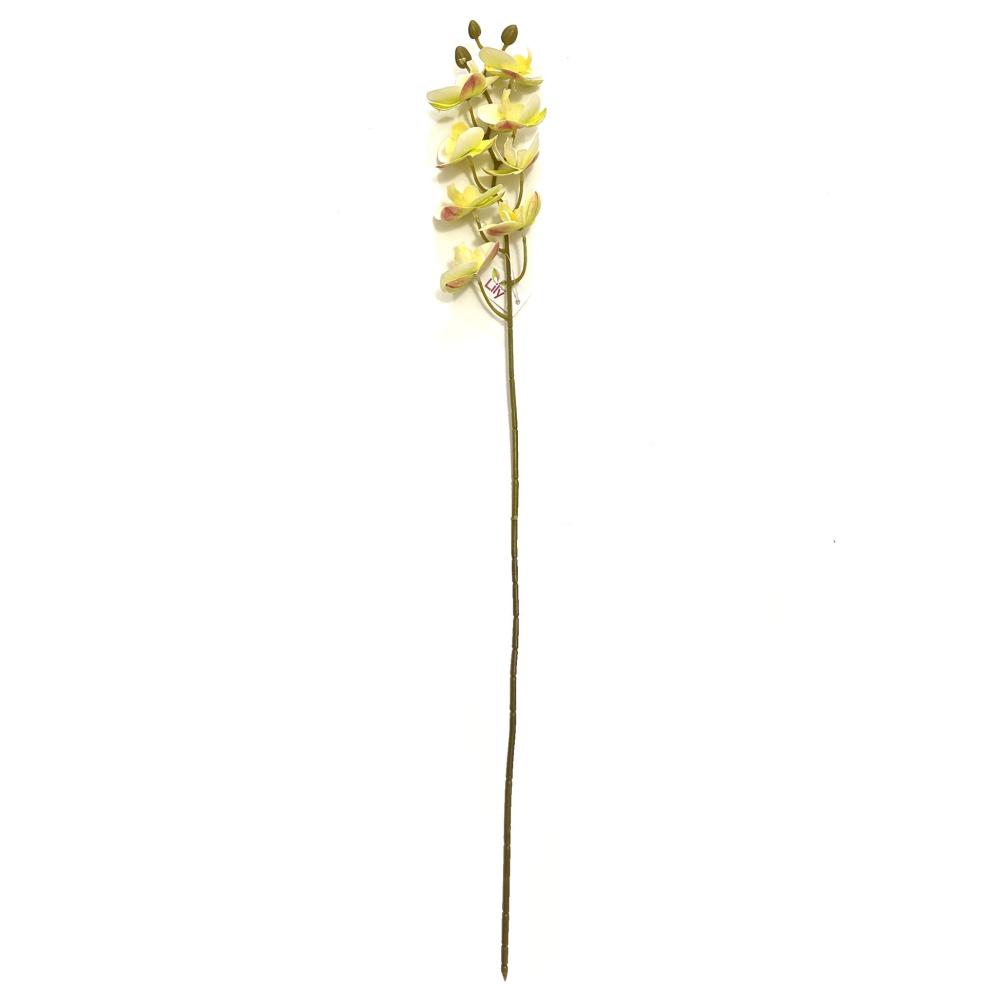 Orchids | Artificial Cream Phalaenopsis Orchid Flower Stem 75cm Flowering Plants & Trees Orchids