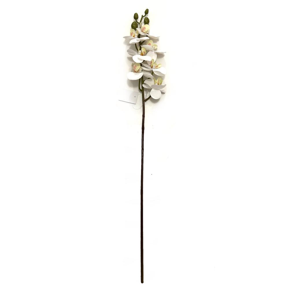 Orchids | Artificial Ivory White Phalaenopsis Orchid Flower Stem 75cm Flowering Plants & Trees Orchids