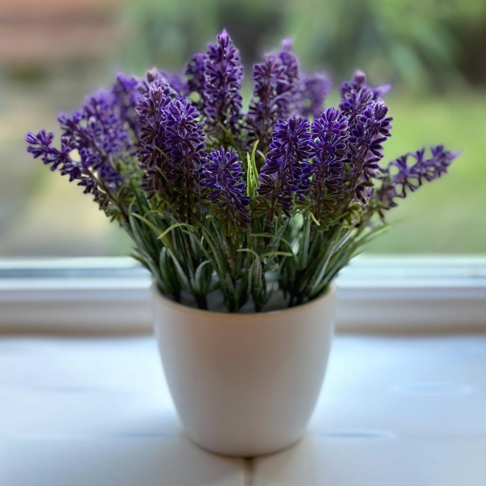 Potted Plants | Artificial Lavender Flower Stems in 8cm White Ceramic Pot Arrangements Arrangements