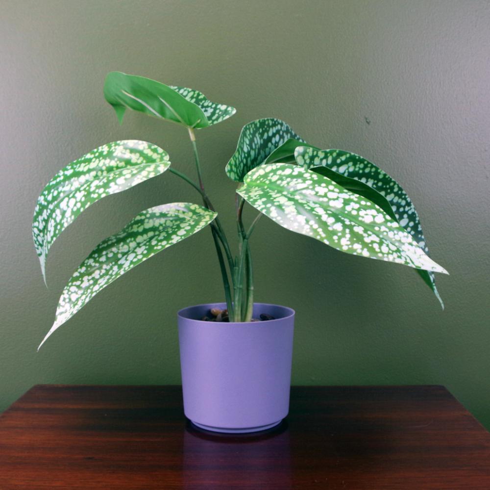 Foliage Plants | 35cm Artificial Spotted Leopard Plant in Planter Artificial Plants Foliage Plants