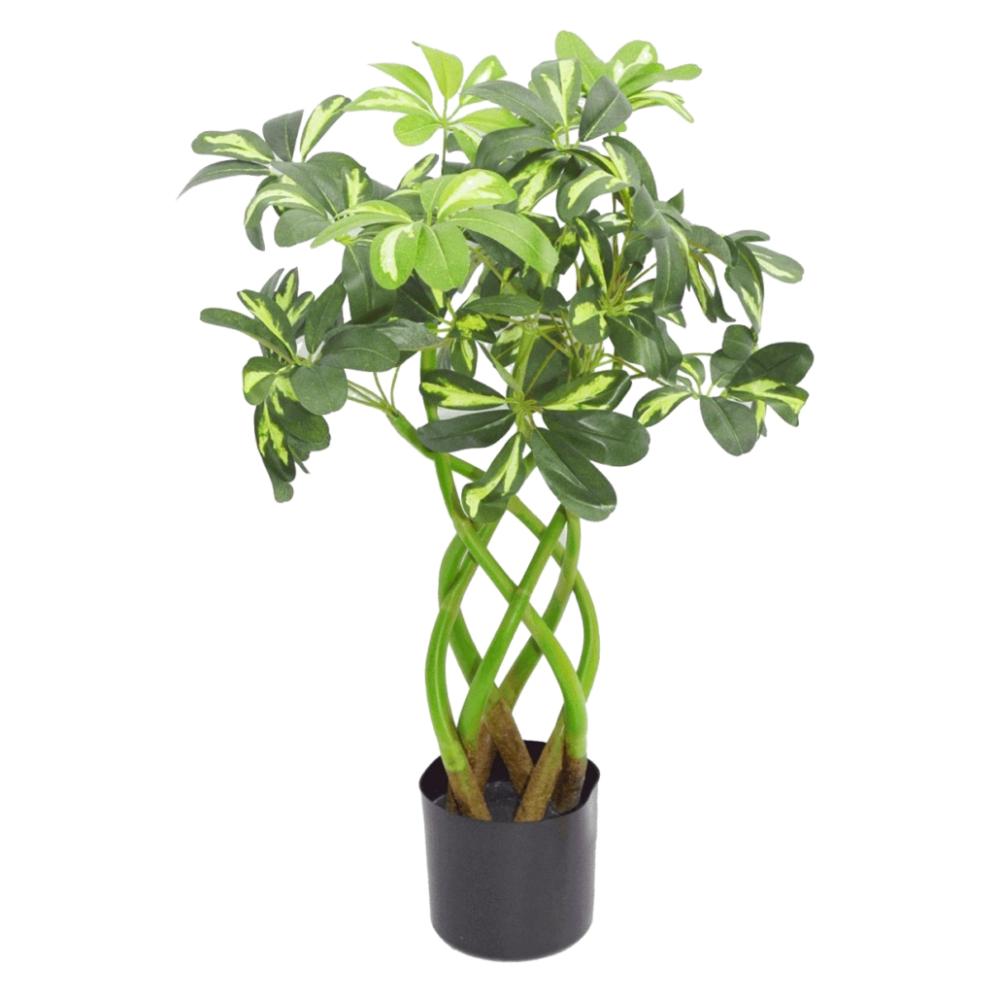 Foliage Plants | 70cm Artificial Plant Bonsai Bush Twisted Stem Golden Capella Artificial Plants Foliage Plants