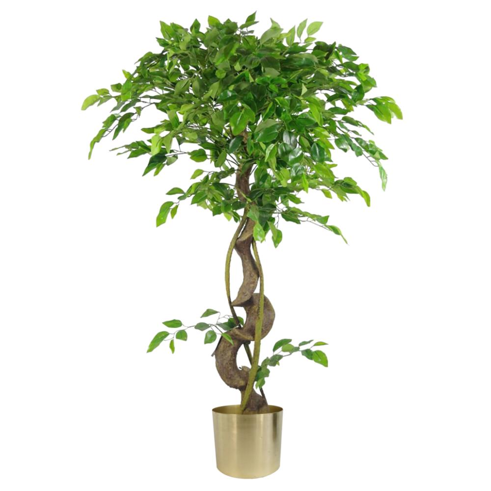 Japanese Trees | 120cm Twisted Trunk Artificial Japanese Fruticosa Style Ficus Tree Gold Planter Artificial Trees Japanese Trees