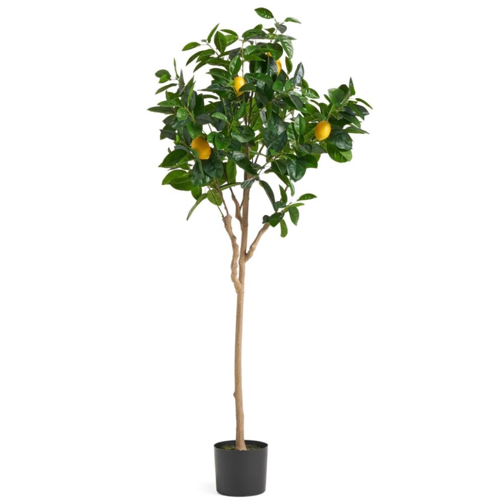 Olive Trees | 150cm Premium Artificial Lemon Tree Artificial Trees Olive Trees