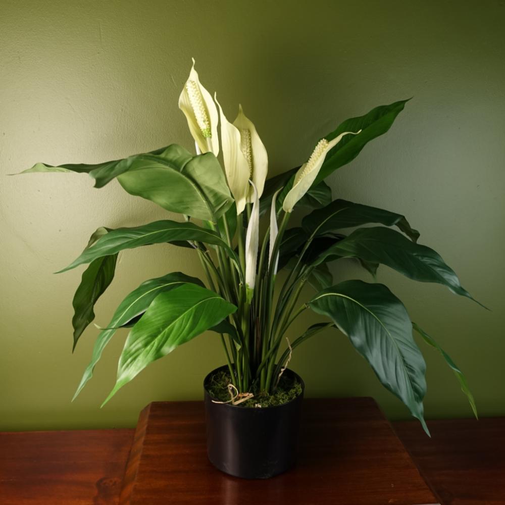 Potted Flower | Artificial Peace Lily White Spathiphyllum Flowering Potted Flower